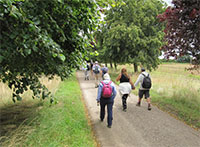 Walkers in the countryside